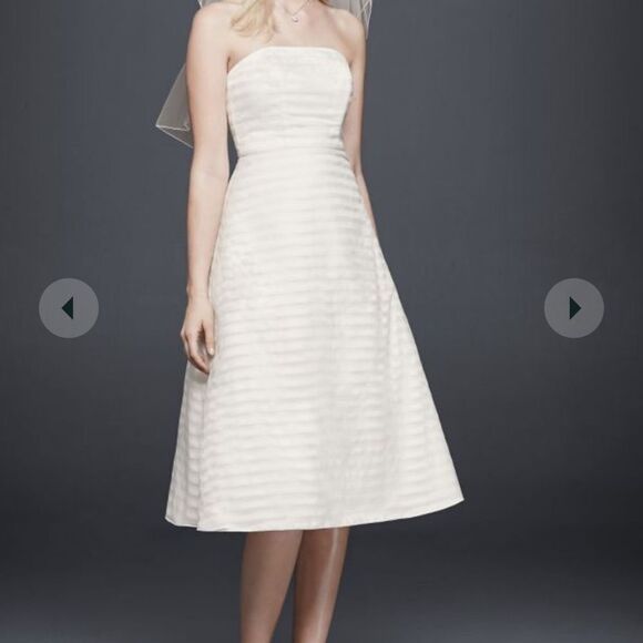 NWT David’s Bridal Strapless striped organza short wedding tea dress - Picture 1 of 11